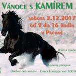 Vzpomínka na Vánoce s Kamírem