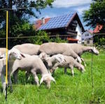 Časté dotazy k elektrickým ohradníkům (2. část)