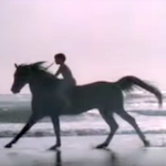 5 nejkrásnějších filmů o koních, které prostě musíte vidět