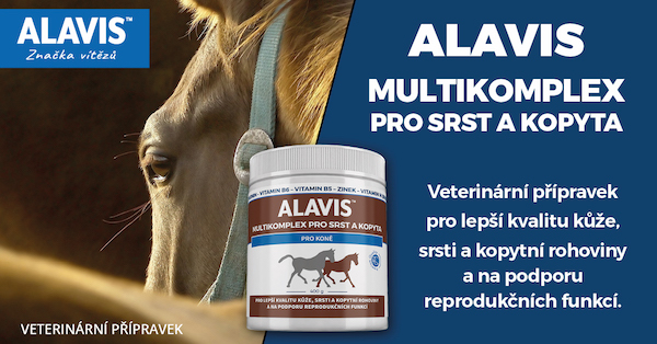 Soutěž s Alavisem, překročili jsme 6000 Like na FB profilu