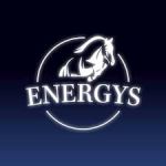 Krmivo pro koně Energys řady Nature