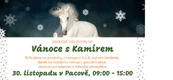 Vánoce s Kamírem 2019