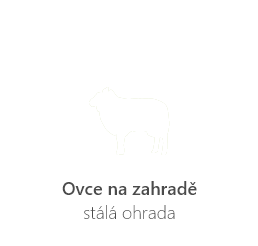 Ovce na zahradě - stálá ohrada