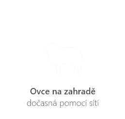 Ovce na zahradě - dočasné přepasení ovcemi, které znají elektrický ohradník pomocí sítí