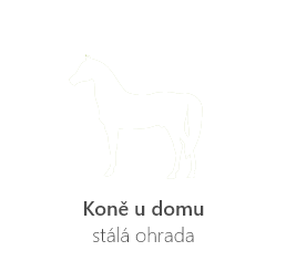 Koně u domu - stálá ohrada