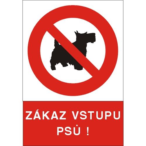 Zákaz vstupu psů ! - plast A4