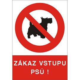 Zákaz vstupu psů ! - plast A4