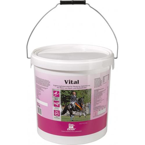 Minerální doplněk Derby Vital, 7,5 kg - 7,5 kg Minerální doplněk VITAL, DERBY, 7,5 kg