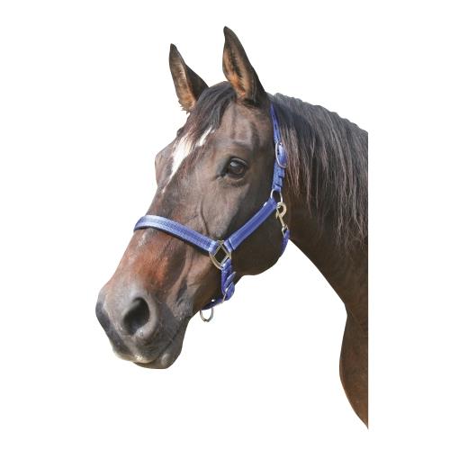 Ohlávka pro koně Mustang, podložená, 2x stavitelná - modrá, vel. Pony