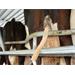 Nástavec na akušroubovák TailWell® Power Tail Trimmer na stříhání ocasů krav Nástavec na akušroubovák TailWell® Power Tail Trimmer na stříhání ocasů krav
