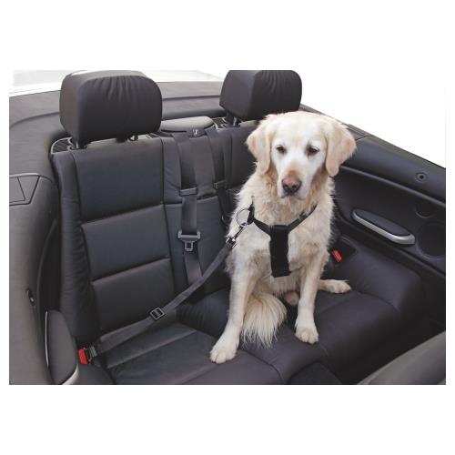 Bezpečnostní pás pro psa do auta - 70 - 90 cm, černý Bezpečnostní pás pro psa do auta