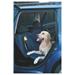 Ochranný autopotah zadních sedadel pro psa 1,40x1,50m Ochranný autopotah zadních sedadel pro psa 1,40x1,50m