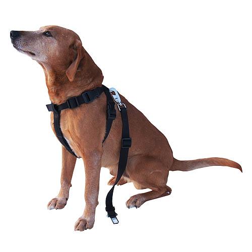 Bezpečnostní pás pro psa do auta - 50 - 70 cm, černý Bezpečnostní pás pro psa do auta