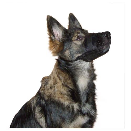 Fixační nylonový náhubek pro psa, černý - 12-14 cm Náhubek pro psa, nylon