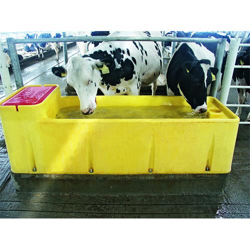 Napájecí žlab Ritchie THERMO Watermaster - Watermaster 54 - 68 l Fotka- napáječka GEA v provozu