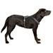 Postroj pro psy reflexní, černý - 30 -40 cm Postroj pro psy reflexní, černým 30-40 cm