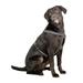 Postroj pro psy reflexní, černý - 40 - 60 cm Postroj pro psy reflexní, černým 40-60 cm