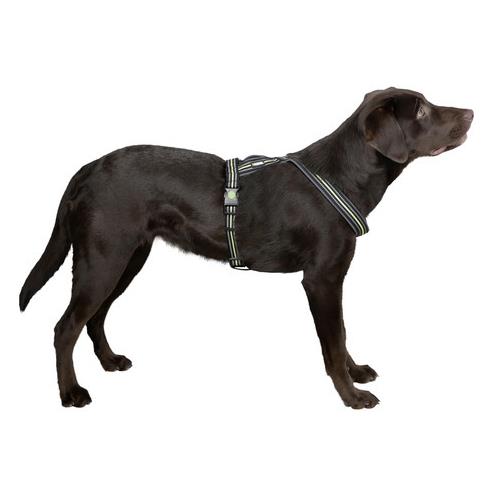 Postroj pro psy reflexní, černý - 50 - 80 cm Postroj pro psy reflexní, černým 50-80 cm