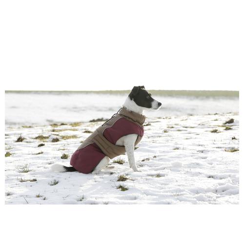 Obleček pro psy Royal, hnědý - 30 cm Obleček pro psy Royal, 30 cm