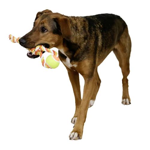 Hračka pro psy z provazu a míčku, 37 cm Hračka pro psy z provazu a míčku, 37 cm
