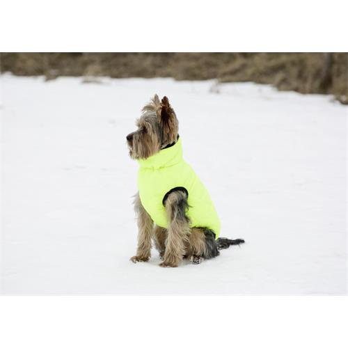 Obleček pro psy Charmonix - 30 cm Barva svítivě žlutá