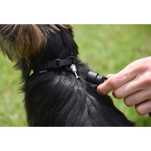 Vodítko GoLeyGo 2.0 s pin adaptérem 16mm x 2m - modré Vodítko GoLeyGo s Pin adaptérem 16mm x 2m, modré