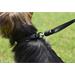 Vodítko GoLeyGo 2.0 s pin adaptérem 16mm x 2m - modré Vodítko GoLeyGo s Pin adaptérem 16mm x 2m, modré