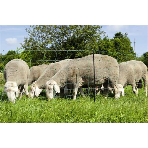 Síť pro elektrické ohradníky na ovce OVINET v. 90 cm, d. 50 m, dvojitá špička, zelená Síť pro elektrické ohradníky na ovce OVINET v. 90 cm, d. 50 m, dvojitá špička, zelená