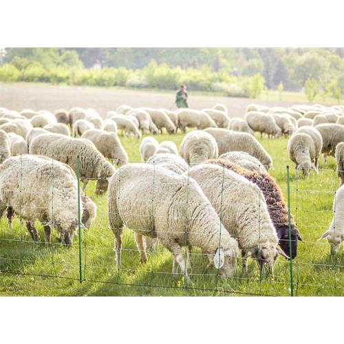 Síť pro elektrické ohradníky na ovce TopLine Plus v. 90 cm, d. 50 m, jednoduchá špička Síť pro elektrické ohradníky na ovce TopLine Plus v. 90 cm, d. 50 m, jednoduchá špička