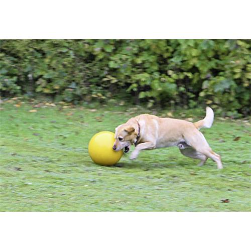Hračka pro psy tvrdý míč, žlutý, 30 cm Hračka pro psy nafukovací míč, žlutý, 30 cm.
