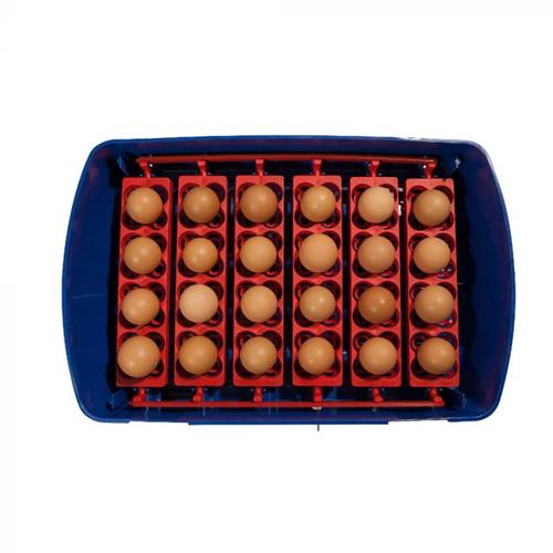Digitální automatická líheň Borotto pro 24 vajec. Digitální automatická líheň Borotto pro 24 vajec - detail.