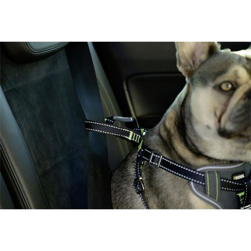 Bezpečnostní postroj pro psy, šedý - S/M 40 - 55 cm Postroj bezpečnostní nejen do auta.