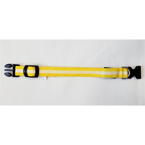 Svíticí obojek Reedog Colour žlutý - 22 - 40 cm Svíticí obojek Reedog žlutý