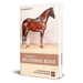 Kniha Základní anatomie koní, Dr. Christina Fritz Kniha Základní anatomie koní, Dr. Christina Fritz