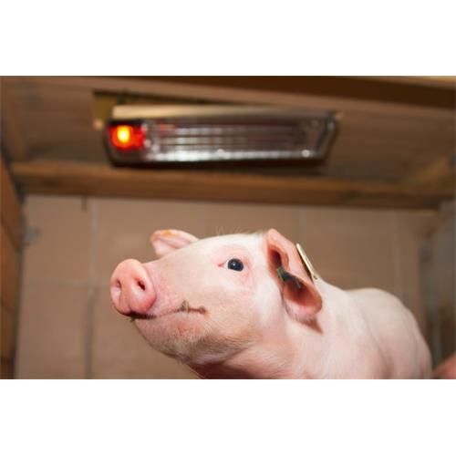 Tepelný zářič IPX7 150 W s červeným světlem Zářič tepelný IPX7 150 W s červeným světlem.