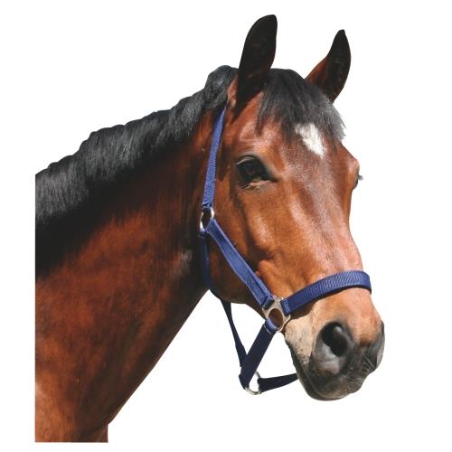Nylonová ohlávka Covalliero Classic - modrá vel. 1 - pony Ohlávka pro koně nylonová Classic, modrá, vel. 1
