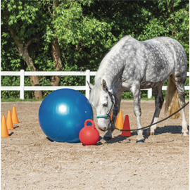 Set pro koně USG Agility