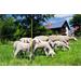 Síť pro elektrické ohradníky na ovce EasyNet v. 105 cm, d. 50 m, jednoduchá špička Síť pro elektrické ohradníky na ovce EasyNet v. 105 cm, d. 50 m, jednoduchá špička