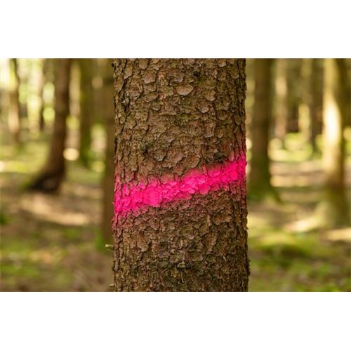 Barva značkovací ve spreji Forst Neon - 500 ml - růžová Barva značkovací na prostředí, 500 g, neon růžová.
