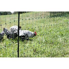 Síť pro drůbež PoultryNet, zelená, vodivá, výška 106 cm, délka 50 m, dvojitá špička Síť pro drůbež PoultryNet, zelená, vodivá, výška 106 cm, délka 50 m, dvojitá špička