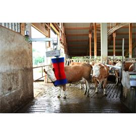 Elektrické drbadlo pro skot HappyCow MaxiSwing Elektrické drbadlo pro skot HappyCow MaxiSwing