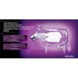 Mléčná granulovaná směs pro telata Axcelera-C 12,5 kg Mléčná granulovaná směs pro telata Axcelera-C 12,5 kg