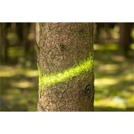 Barva značkovací ve spreji Forst Neon - 500 ml - žlutá Barva značkovací na prostředí, 500 g, neon žlutá.