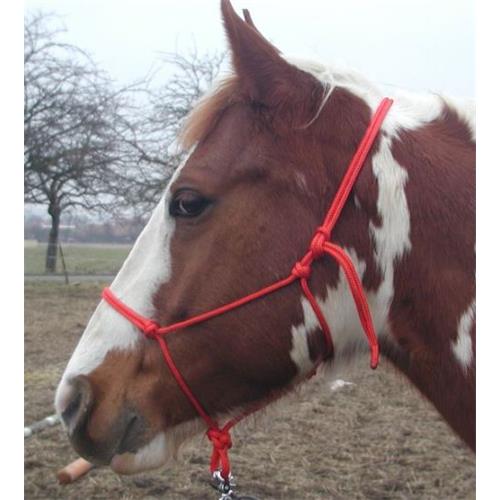 Provazová akupresurní ohlávka Bang, mix barev - 1 - Pony Ohlávka pro koně provazová , akupresurní