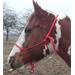 Provazová akupresurní ohlávka Bang, mix barev - 1 - Pony Ohlávka pro koně provazová , akupresurní