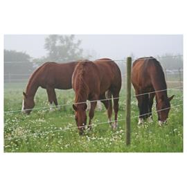Ocelový drát s plastovým obalem Premium Horse Wire 8 mm, 250 m Ocelový drát s plastovým obalem Premium Horse Wire 8 mm, 250 m