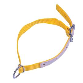 Řemen pro ovce a kozy  60 cm