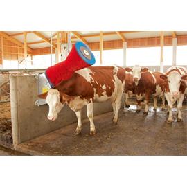 Náhradní kartáč pro HappyCow Mono s PP štětinami Náhradní kartáč pro HappyCow Mono s PP štětinami