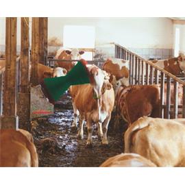 Náhradní kartáč pro HappyCow Mono s PP štětinami Náhradní kartáč pro HappyCow Mono s PP štětinami