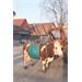 Zvedák krav - do 1000 kg Zvedák krav - do 1000 kg